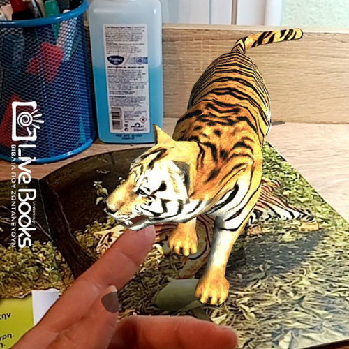 The Jungle Kings book like new with 3D animals