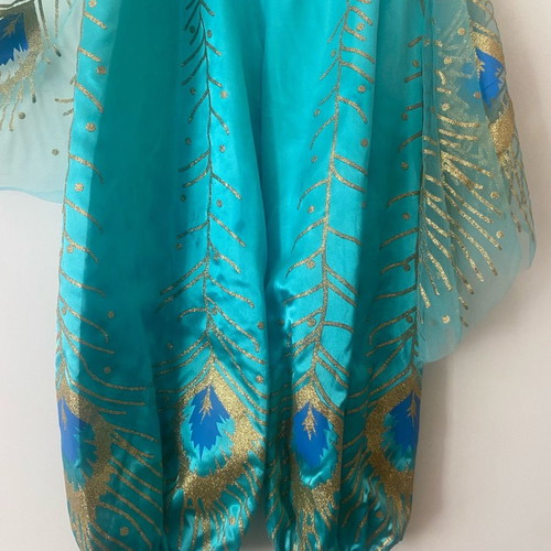 Jasmine costume from Disneyland with slight wear, size 7-8