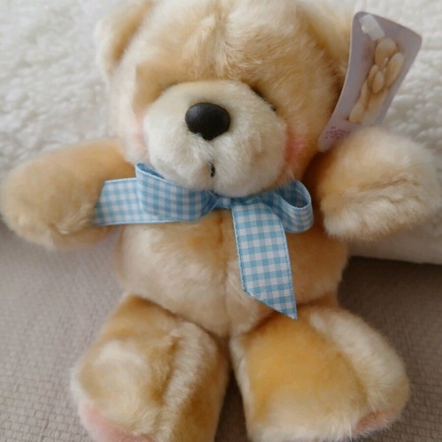 Forever Friends Hallmark teddy bear new with tags 19cm