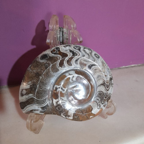 Ammonite fossil used, polished 11 cm with stand