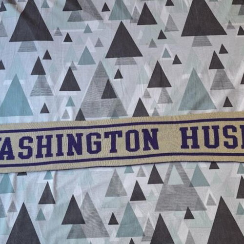 Washington Huskies Nike licensed scarf like new