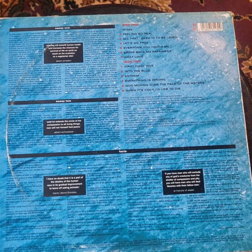Moby Everything Is Wrong vinyl used, moderate condition