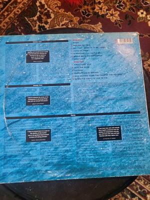Moby Everything Is Wrong vinyl used, moderate condition