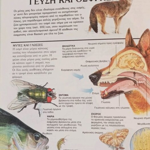 How Nature Works children's book used