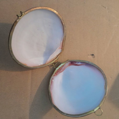 Shell box like new with brass details 8x7cm
