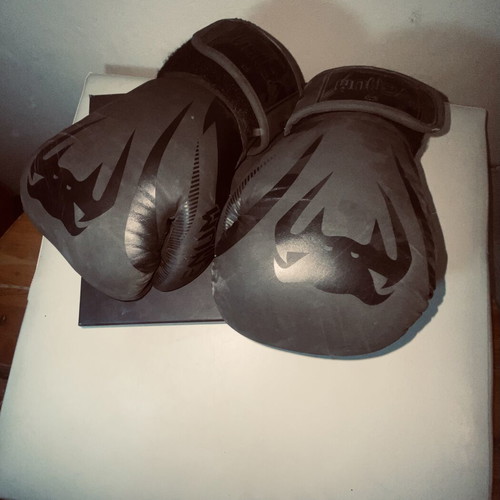 Venum KB gloves 12 oz used
