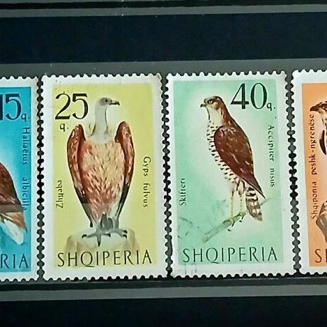 Collection of 6 Albanian stamps 1966 Birds of Prey series new
