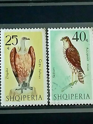 Collection of 6 Albanian stamps 1966 Birds of Prey series new