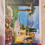 Puzzle 1000 pieces used