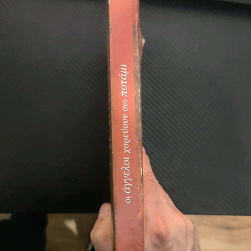 The Angels Dance on the River novel used