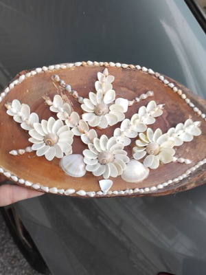 Wall base with shell design handmade