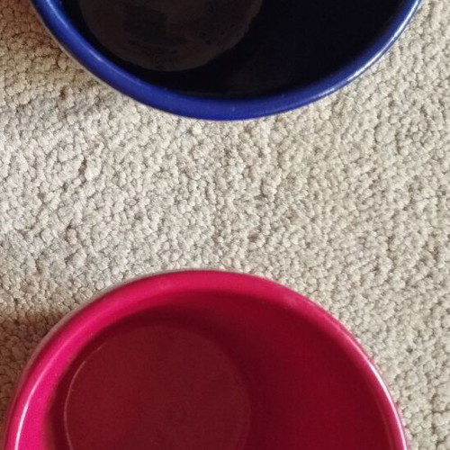 Ceramic kaspó set of 2 mini pots for cacti, new