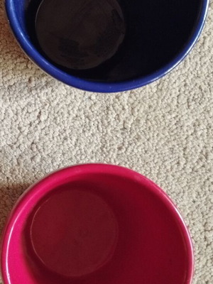 Ceramic kaspó set of 2 mini pots for cacti, new