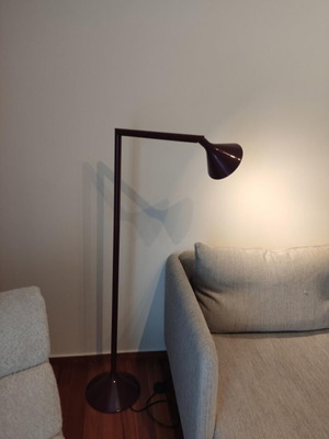 Burgundy lamp
