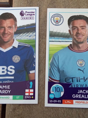 Panini Premier League 2023 football sticker pack, 2 cards