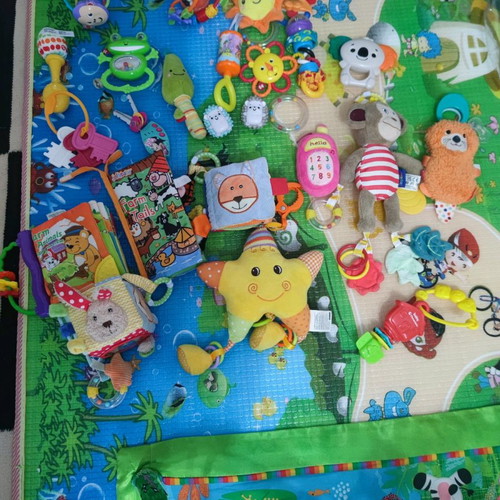 Fisher Price baby gym used with toys