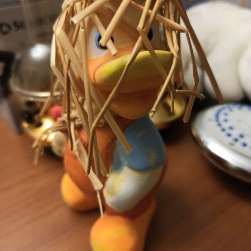 Duck used