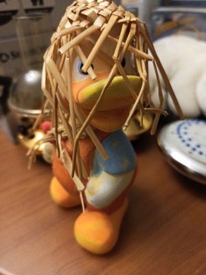 Duck used