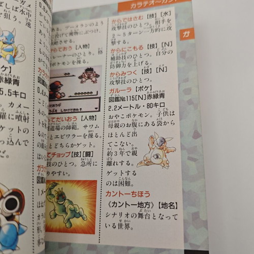 Pokemon Dictionary Strategy Guide used, Greek language