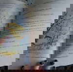  ,,Истината за бебетата" книга за деца