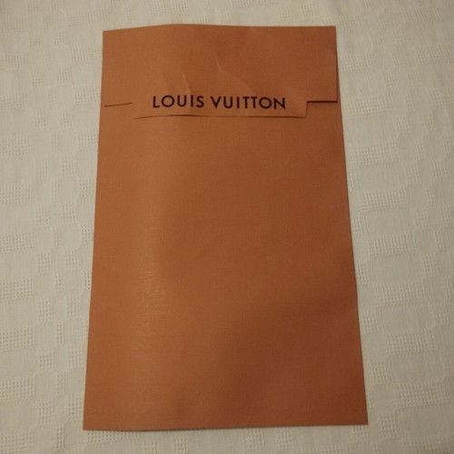 Louis Vuitton large envelope