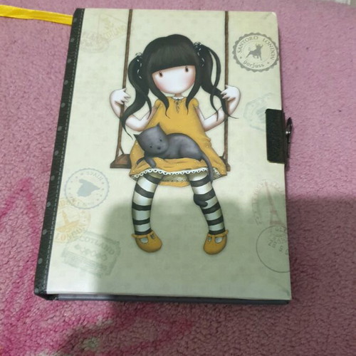 Santoro diary new