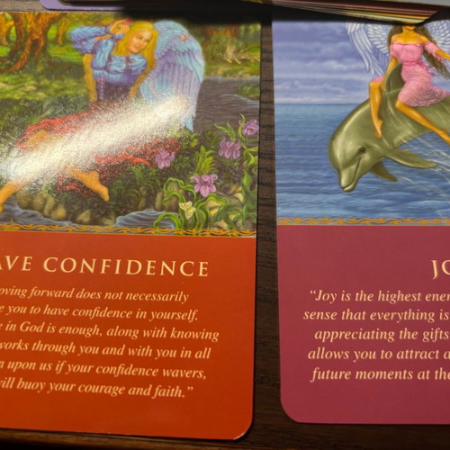 Daily Guidance From Your Angels Oracle Tarot Deck new, with guidebook