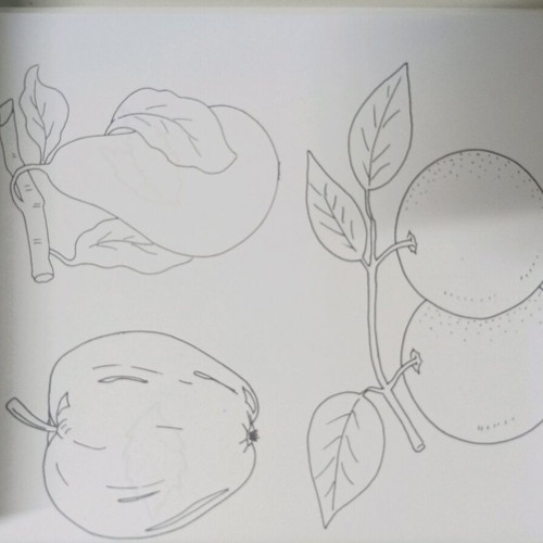 Creative crafts book used, missing 2-3 pages