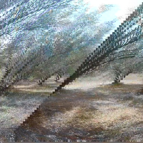 Building Land 307 m² in Davleia Viotia with Storage and Agricultural Plots