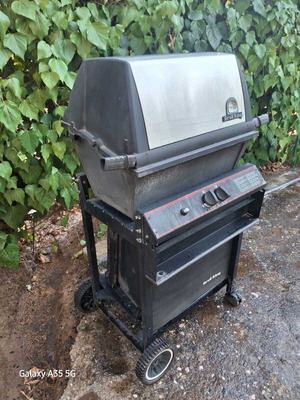 Broil King gas grill