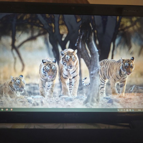 Dell Inspiron i3 laptop 4GB RAM, 256GB SSD, Windows 10 used