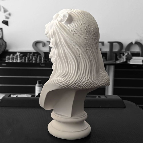 Heracles Bust Made-to-Order with Nemean Lion Skin