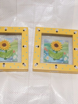 Frames used for children's room with embossed flowers and glass