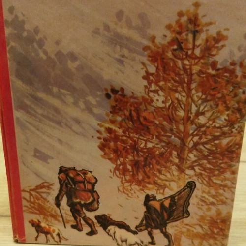 Children's novel Without Family used