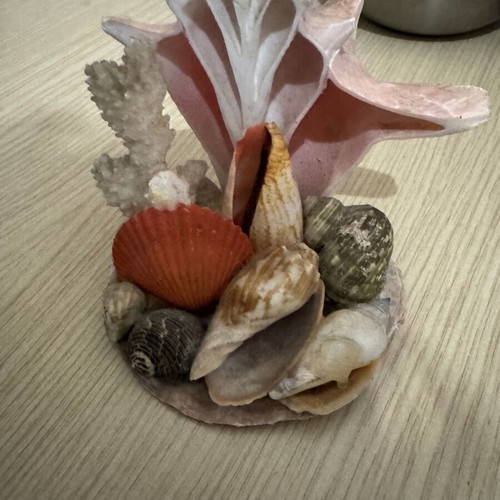 Decorative piece with shells and corals like new