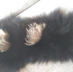 Fur collar ecological new