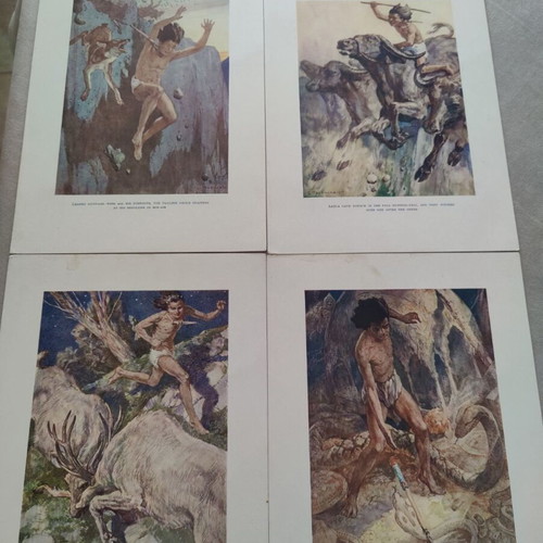 The Jungle Book Original Illustration Cards Complete Set used