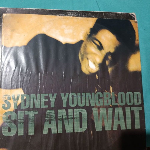 Sydney Youngblood Sit and Wait vinyl record