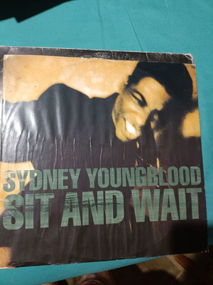 Sydney Youngblood Sit and Wait vinyl record