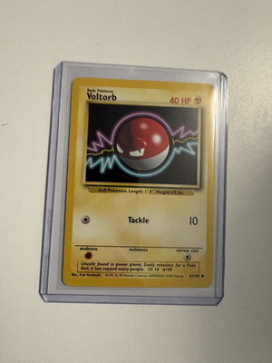 Voltorb Pokemon Base Set Unlimited 1999 card near mint