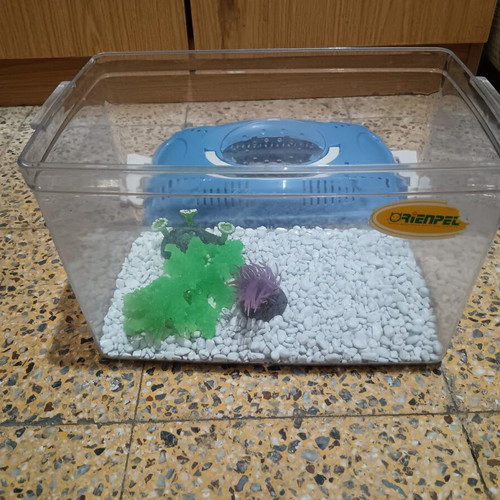 Aquarium like new with gravel and decorations 31×19×20 cm