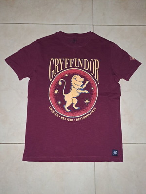 Harry Potter Gryffindor T-shirt, red, size 164 cm