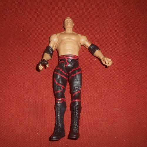 WWE Wrestling Ruthless Aggression Mattel 2010 Action Figure used