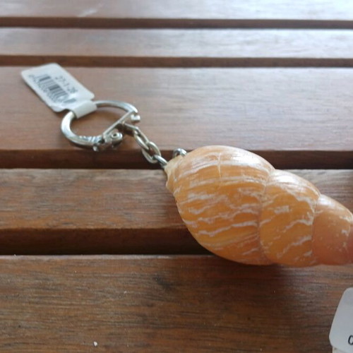 Keychain set of 4 new with seashells