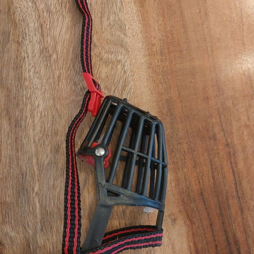 Flamingo Muzzle Silas Black dog muzzle new