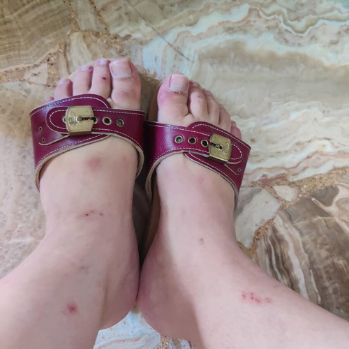 Scholl slippers, red, size 38