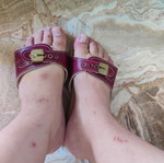 Scholl slippers, red, size 38
