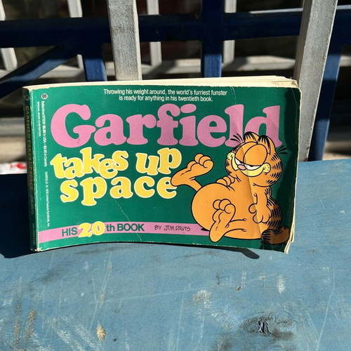 Garfield Takes Up Space 20th Book used, vintage comic by Jim Davis