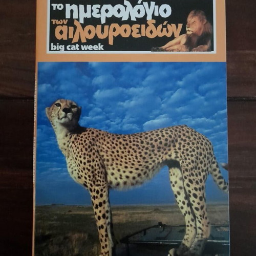 The Big Cat Week VCD new, BBC documentary with subtitles