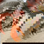Δράκος Shogakukan 2003 Hasbro